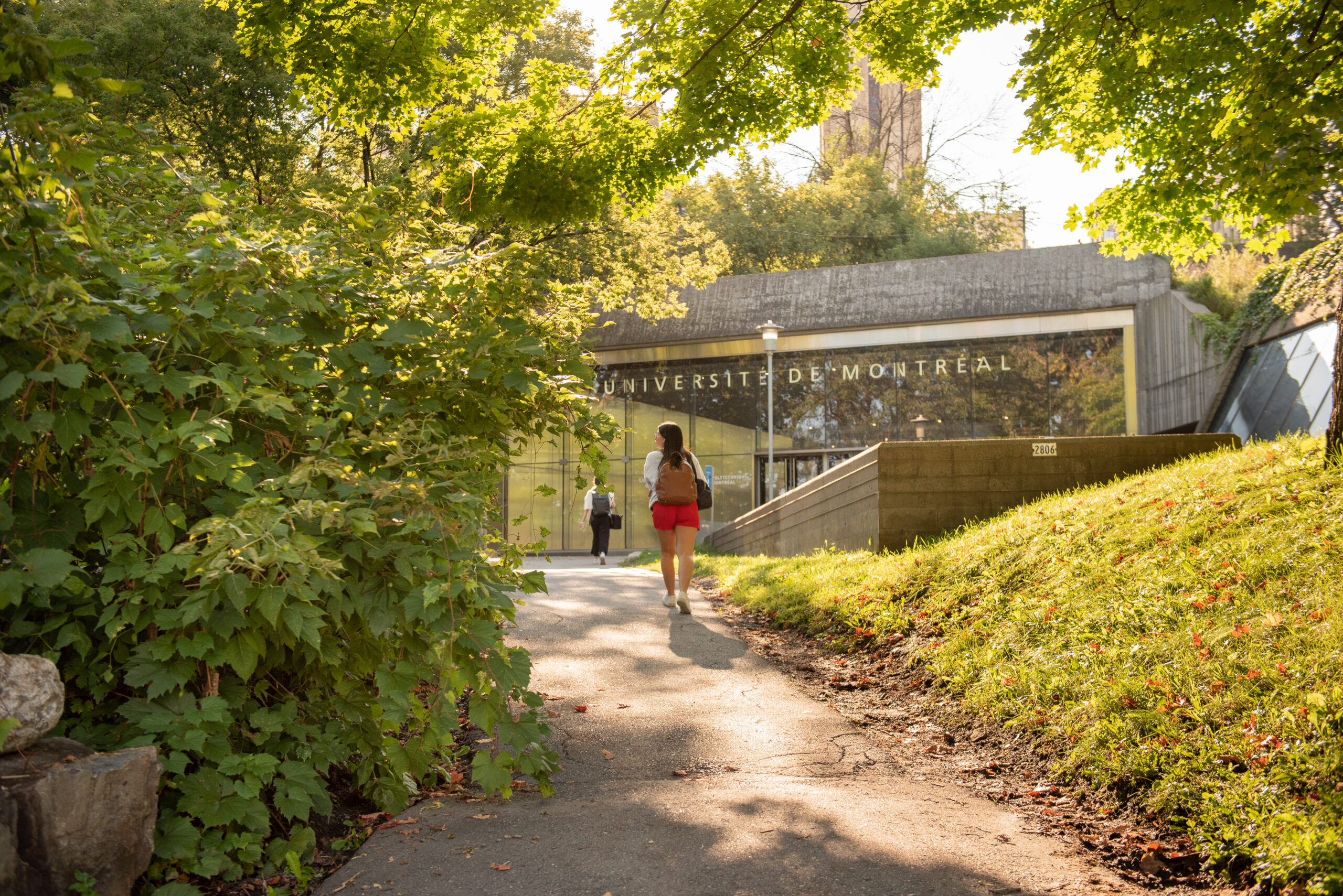 Photo de la banque institutionnelle de l'Université de Montréal, choisie pour le dossier de candidature
