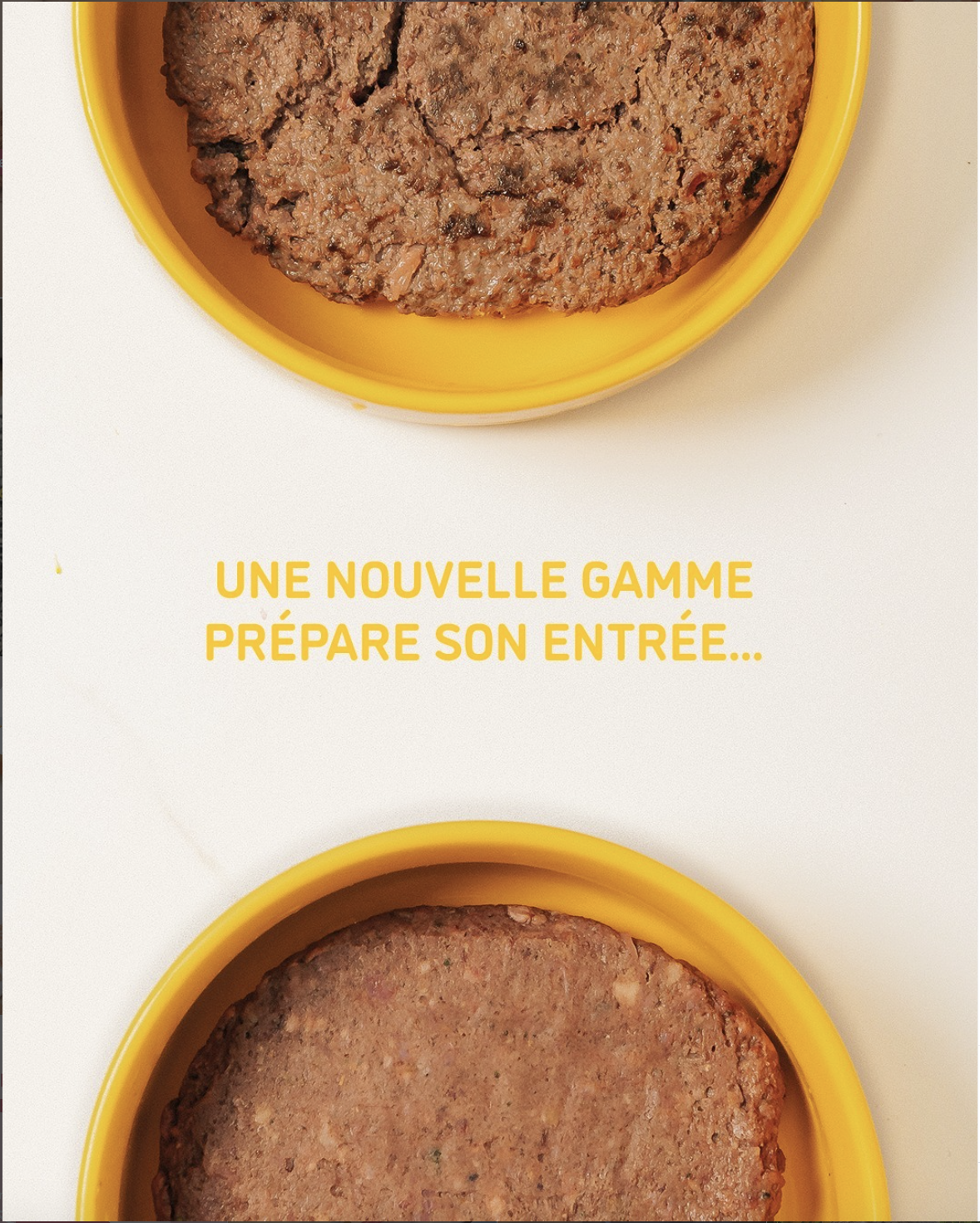 Univers de marque Faim Museau, Mackenzie Pet Food