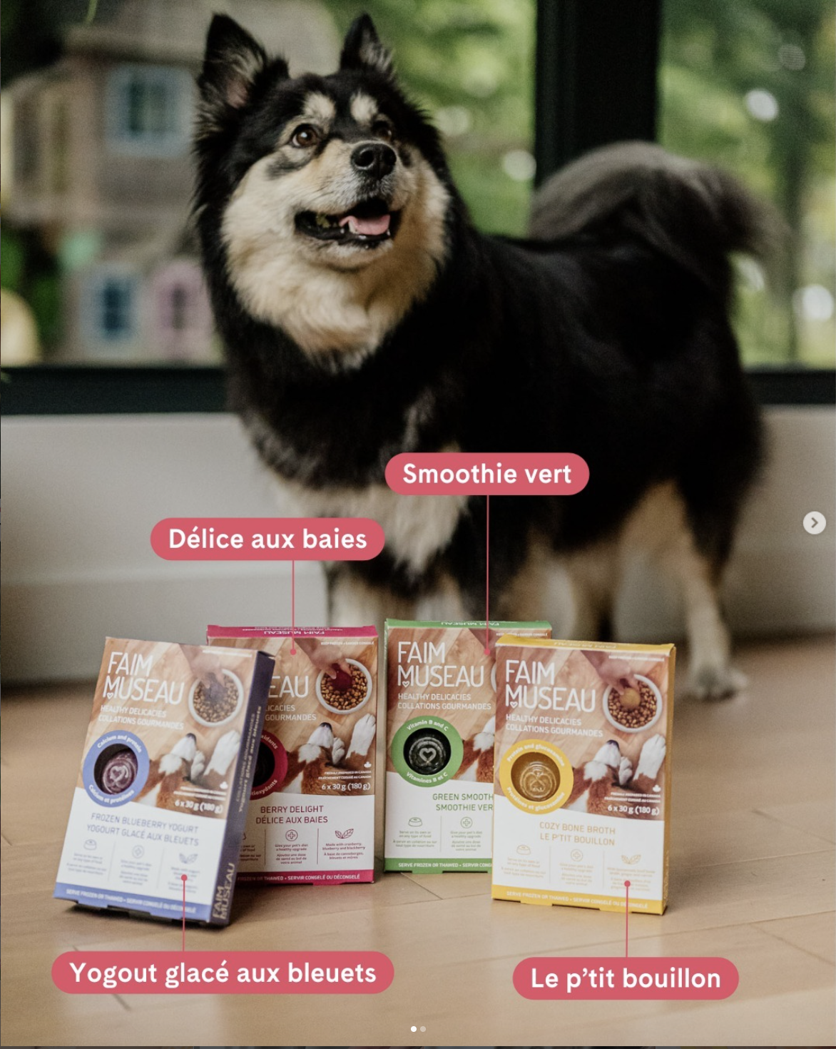 Univers de marque Faim Museau, Mackenzie Pet Food
