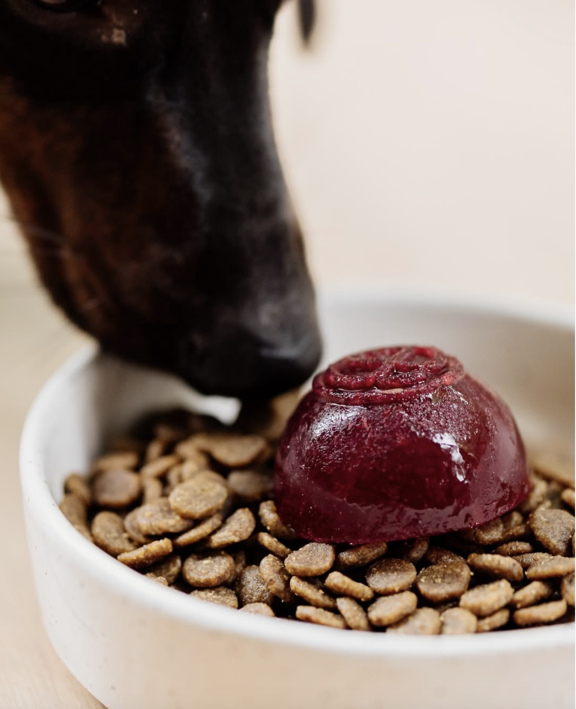 Mackenzie Pet Food : tenir deux marques