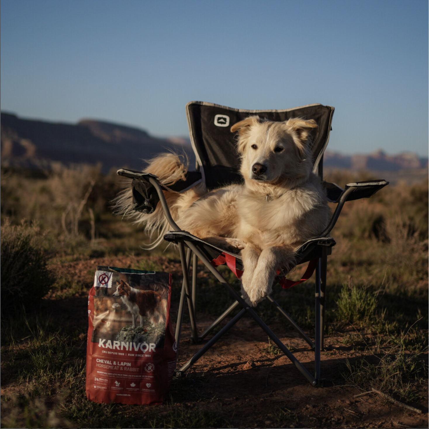 Univers de marque Karnivor, Mackenzie Pet Food