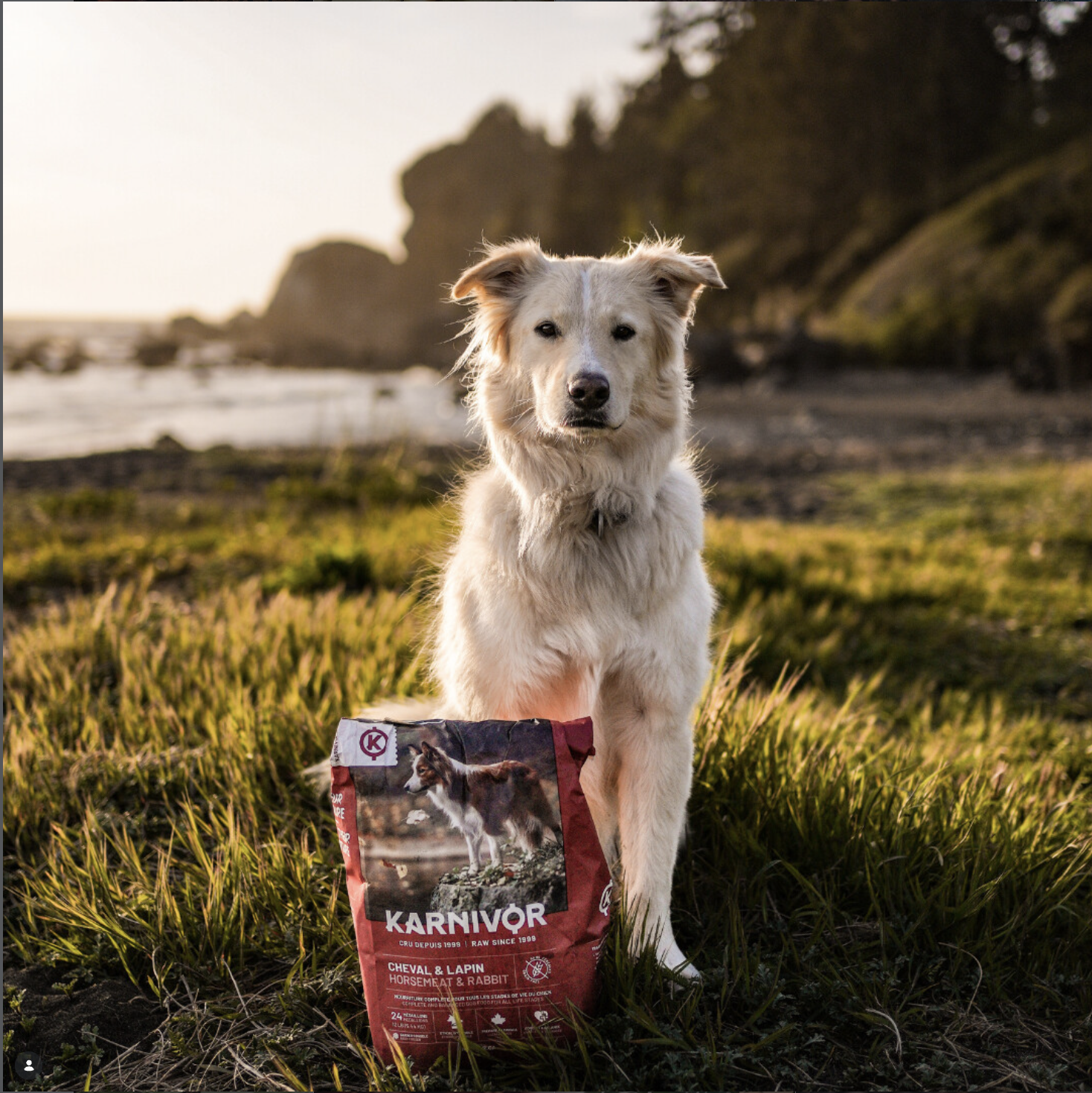 Mackenzie Pet Food : tenir deux marques