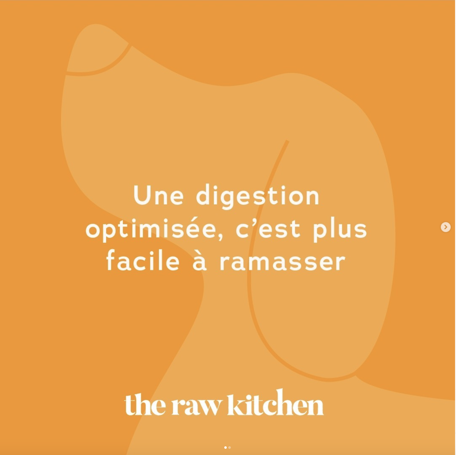 Univers de marque The Raw Kitchen, Mackenzie Pet Food