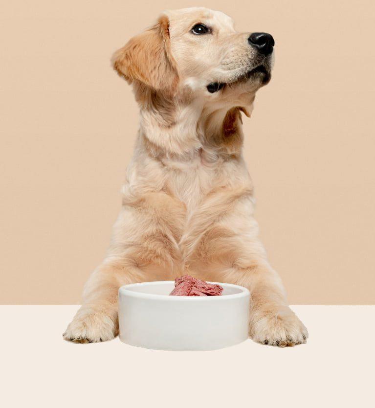 Mackenzie Pet Food : lancer la troisième